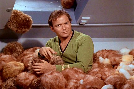 Tribbles1