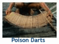 Poisondarts