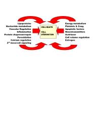 Ischemic_axis_fig_2